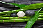 One white pebble and two dark pebbles in a row on wet bamboo stems