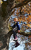 Little boy sitting in tree