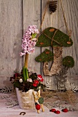 Rustic New Year's arrangement with hyacinth