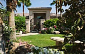 Sonniger, gepflegter Garten mit Palmen und Blick auf Nachbarhaus