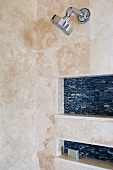 Detail of Unique Shower Tile with Stones