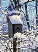 Birdhouse in snow