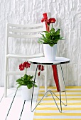 Potted gerbera daisies on metal side table