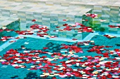 Swimming Pool with Rose Petals