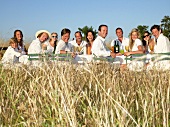 Menschen beim Abendessen in einem Feld