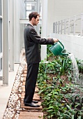 Business man watering plants at office