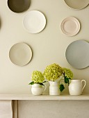 White jugs of hydrangeas on mantelpiece below collection of wall plates