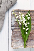 Lilly of the valley on a wooden surface