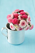 A bunch of pink daisies in a tin cup