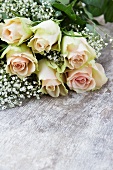 Salmon-pink roses with gypsophila