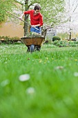 Man outdoors gardening