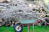 Wheelbarrow in the garden in front of felled trees and branches in miniature