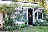 Enchanting idyll - conservatory extension with peeling window frames covered in climbing plants