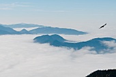 View of a cloud covered mountain landscape
