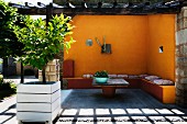 Small lemon tree in wooden planter in front of terrace area with yellow limewashed walls and pergola