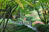 Authentic, Japanese arch bridge in the Tea Garden in Portland
