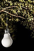 Lamp in shape of light bulb lit from below hanging from leafy branch at night