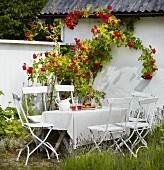 Gedeckter Tisch mit Stühlen neben dem weiß gestrichenem Haus mit Kletterrosen