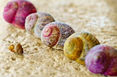 Brightly painted snail shells on sandstone wall