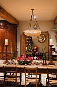 Festively decorated dining table and rustic, rush bottom chairs below traditional bowl lampshade hanging from chains