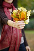 Young woman presenting collected autumn leaves