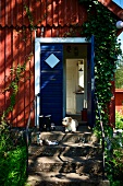 Small dog on stone steps leading to bright blue front door of wooden house