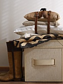 Storage box and African-style cushions