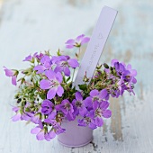 Purple flowers (cranesbill) and handwritten card in pot on vintage wooden surface
