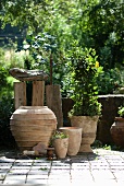 Collection of terracotta pots on paved terrace in front of low stone wall