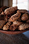 Pine cones in a brown dish