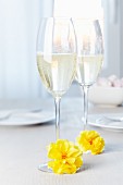 Glass of sparkling wine decorated with tissue paper pompoms