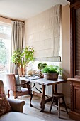 Antique armchair and houseplants on rustic wooden table below window with closed Roman blind