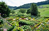 Cottage garden with box-hedged beds & gravel paths (Mistelberg, Switzerland)