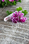 Scented pelargonium flowers and name tag as table decoration