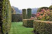 Clipped hedges & cylindrical shrubs in park-style gardens