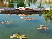 Woman lying on wooden jetty in natural pond