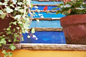 Blau gestrichene Steintreppe mit Pelargonien und Efeu in Blumentöpfen