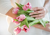 USA, New Jersey, Jersey City, Woman's hands holding bunch of pink tulips