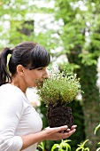 Woman sniffing a thyme plant in garden