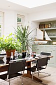 Leather-covered, tubular steel chairs at set dining table and green potted plants in kitchen-dining room