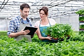 Germany, Bavaria, Munich, Mature man and woman with clip board in greenhouse