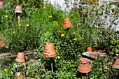 Germany, Flower pots on wooden sticks showing names of herbs