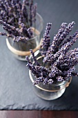 Sprigs of lavender flowers in glasses