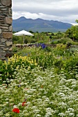 Corner of rustic Italian farmhouse and wild garden with seating and white parasol on terrace