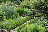 Garden path bordered by topiary box hedges leading to stone fountain