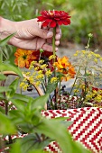Frau sammelt Sommerblumen im Korb