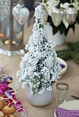 Miniature Christmas tree with artificial snow as centrepiece on set table