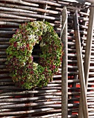 Wreath of hydrangea flowers hanging against wicker fence