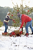 Couple decorating Christmas tree in woodland