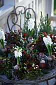 Christmas arrangement of fir branches, wintergreen, bay, apples, mistletoe, hyacinths, pine cones and tealight holder on terrace